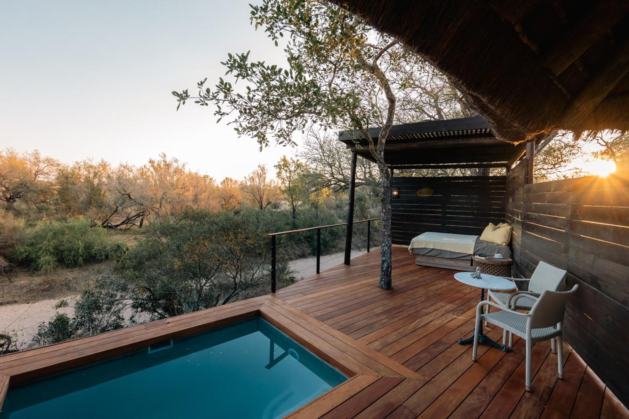 Thornybush Simbambili Lodge Sabi Sand Game Reserve Dış mekan fotoğraf