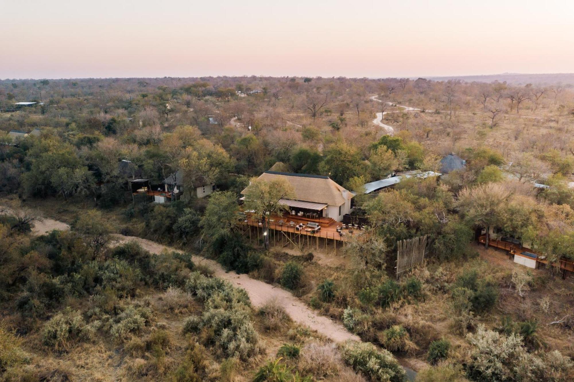 Thornybush Simbambili Lodge Sabi Sand Game Reserve Dış mekan fotoğraf