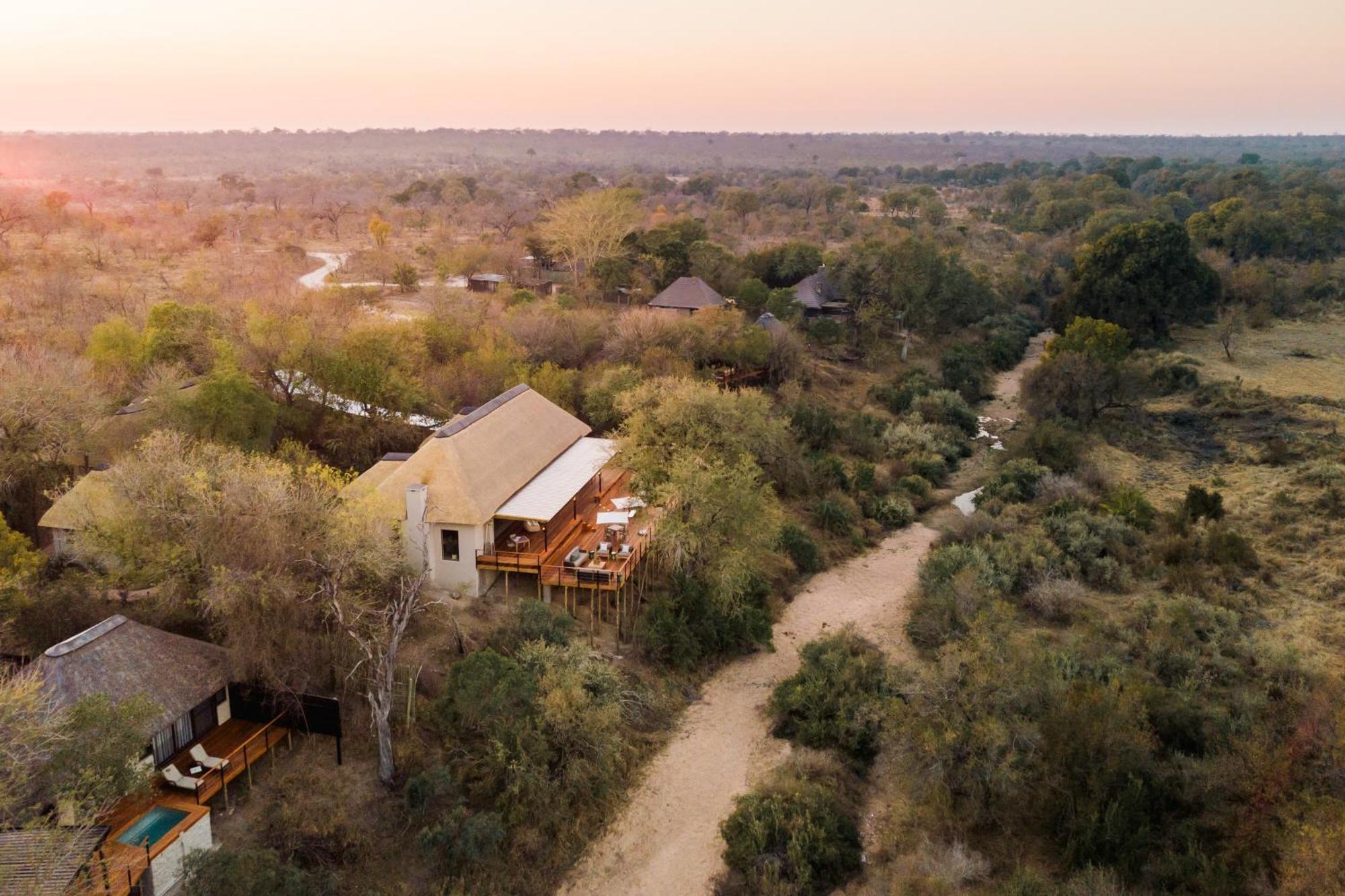 Thornybush Simbambili Lodge Sabi Sand Game Reserve Dış mekan fotoğraf