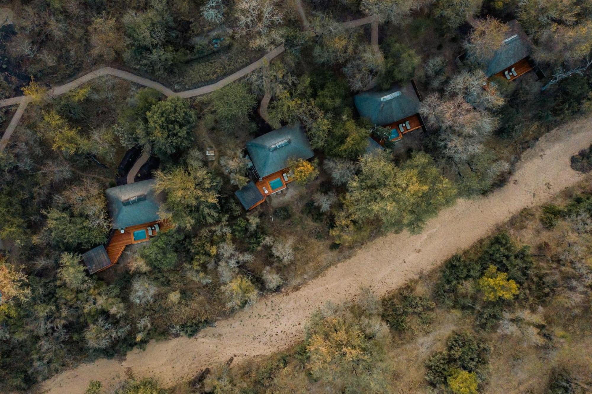 Thornybush Simbambili Lodge Sabi Sand Game Reserve Dış mekan fotoğraf