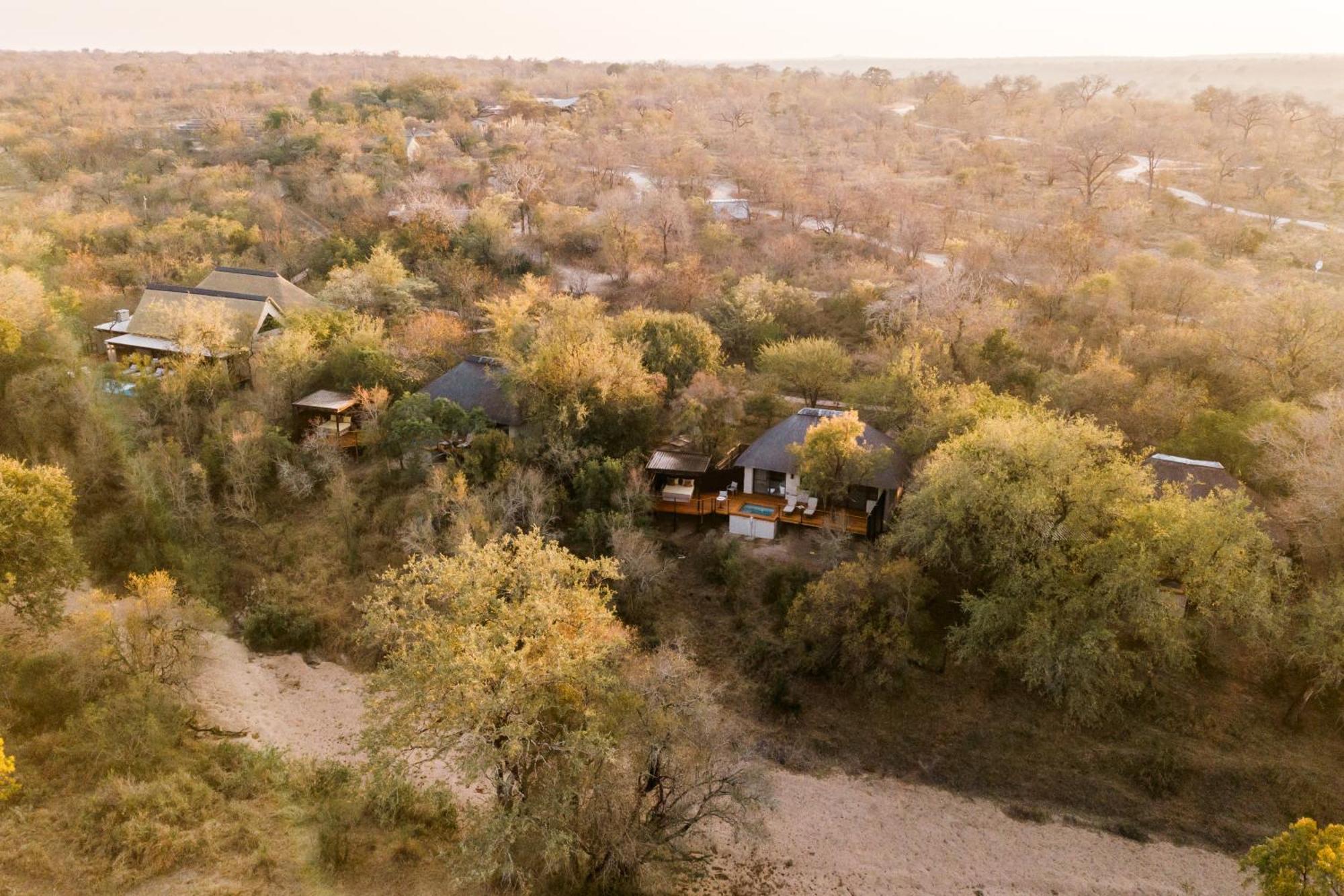 Thornybush Simbambili Lodge Sabi Sand Game Reserve Dış mekan fotoğraf