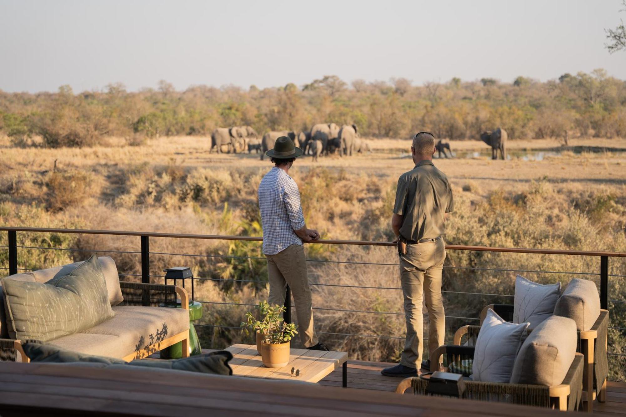 Thornybush Simbambili Lodge Sabi Sand Game Reserve Dış mekan fotoğraf