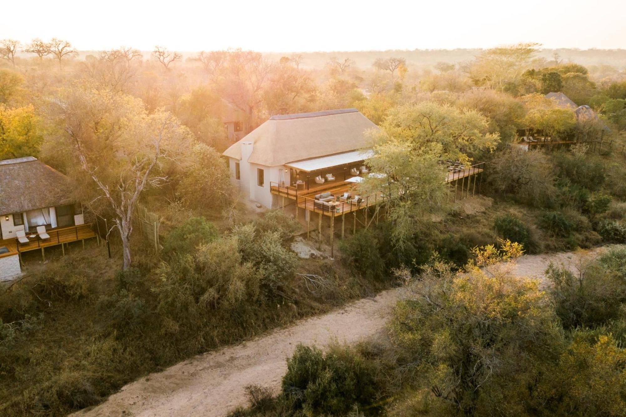 Thornybush Simbambili Lodge Sabi Sand Game Reserve Dış mekan fotoğraf